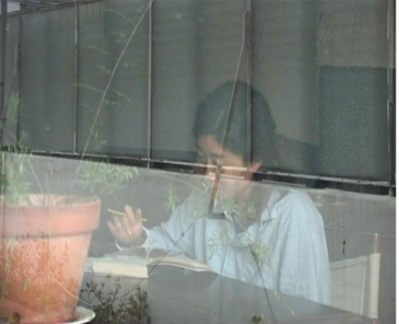 Doclisboa revela programação: Escola das Artes representada com três filmes