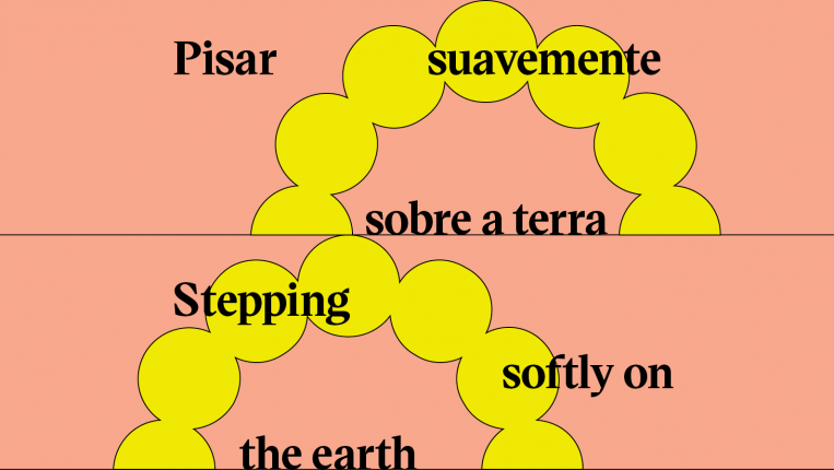 Ciclo 2023