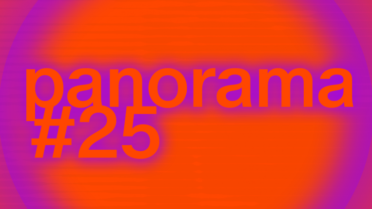 Panorama 25