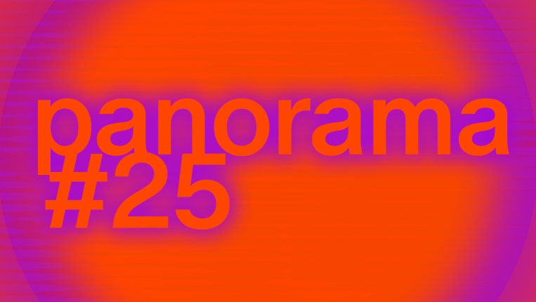 panorama #25